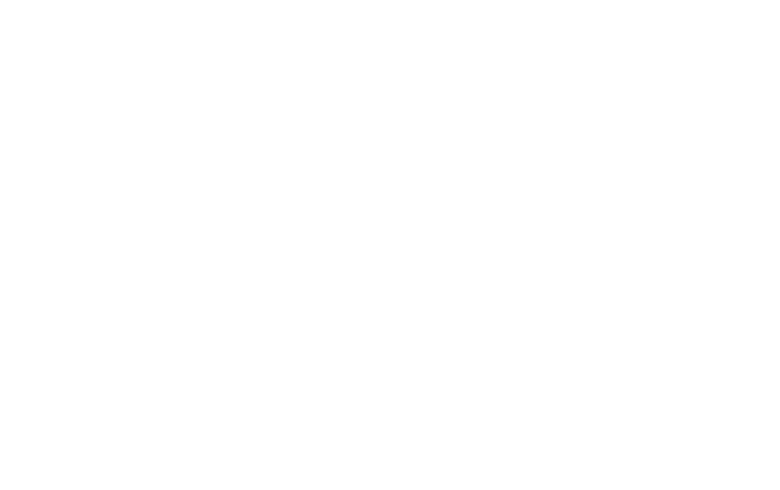 Max Affiliates